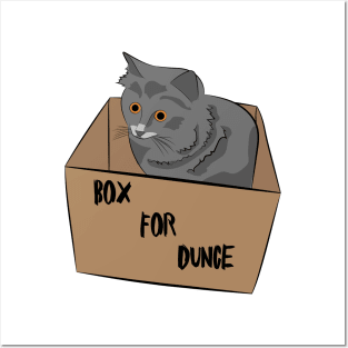 Cat in a Box Posters and Art